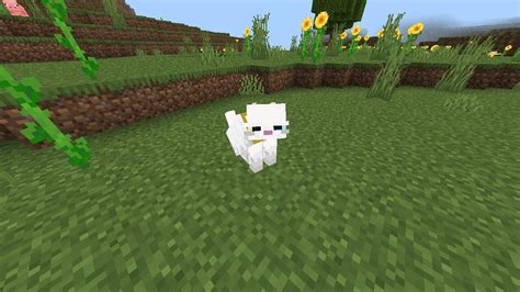 Fat Cat For Bedrock Edition Minecraft Texture Pack