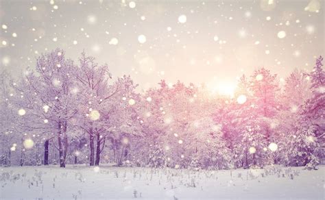 Winter Nature Landscape Christmas Background Snowflakes Shining At