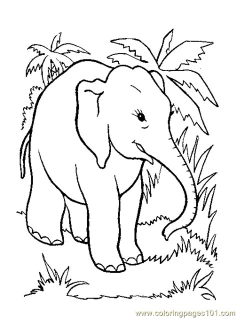 bird coloring page   coloring page  elephant coloring pages coloringpagescom