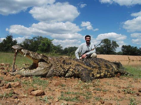 African Crocodiles And How To Hunt Them Outdoors International