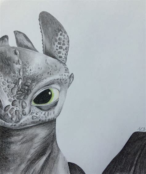 Charcoal Toothless Drawing How To Train Your Dragon Etsy