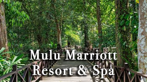 Mulu Marriott Resort And Spa Malaysia【full Tour In 4k】 Youtube