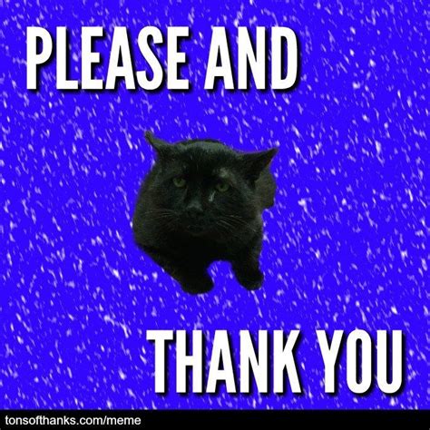 51 Nice Thank You Memes With Cats Thank You Cat Meme Thank You Memes Memes