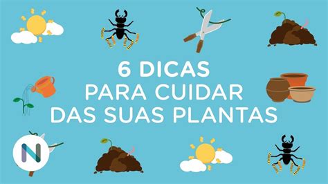 Aprenda A Cuidar De Suas Plantas Youtube