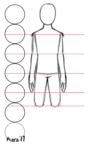 How To Draw Accurate Human Body Proportions Steps
