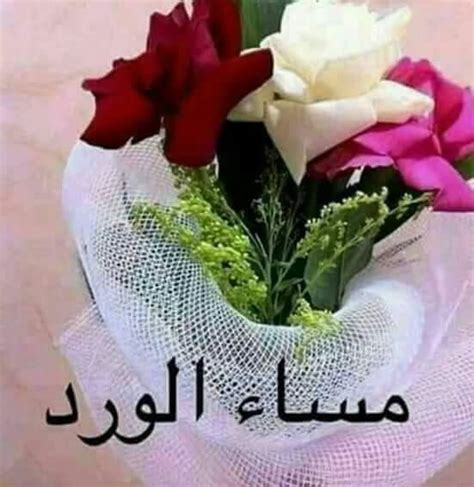 ما احساس العضو لو قلت له صباح الخير فأجاب صباح النور وبعد قليل قلت له صباح الخير. صباح الورد والفل , تحية صباحية مكتوبة - المميز