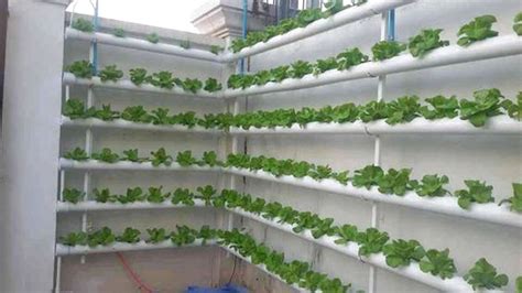 Amazing Wall Mounted Hydroponic System Tiered Vertical Garden
