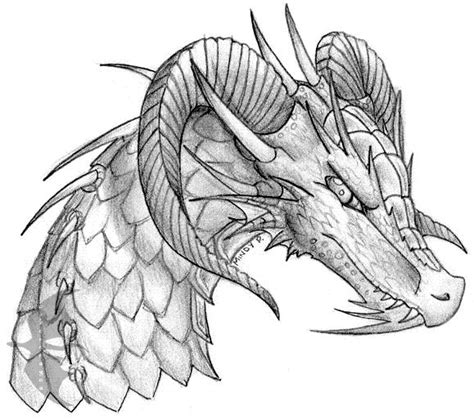 016 Dragon Head Sketch By Oakendragon On Deviantart