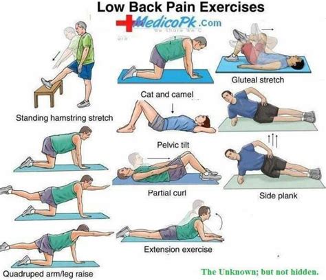 Stretches For Lower Back Pain Stretches For Lower Back Pain Relieve