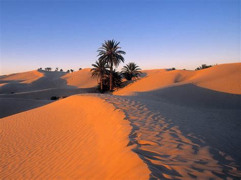 Travel Sahara Desert 2 Hd Wallpapers Sahara Of North Africa