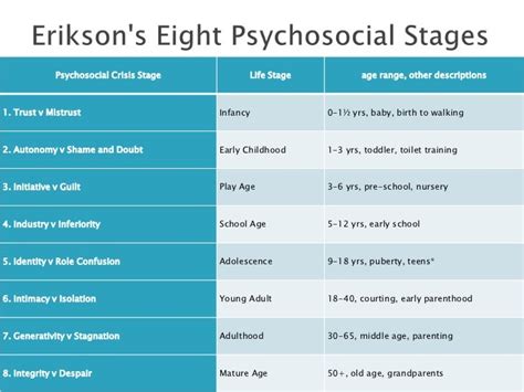 The Developmental Stages
