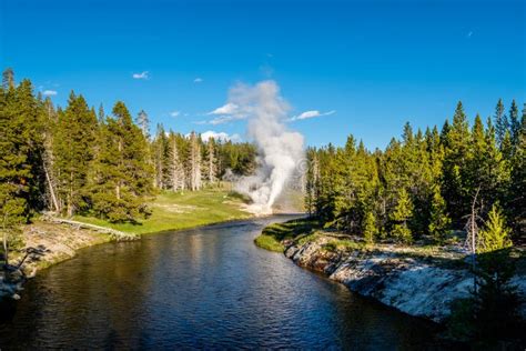 Riverside Geyser In Yellowstone National Park Stock Photo Image Of