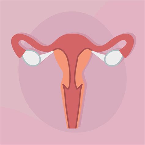 Icono Del Sistema Reproductivo Femenino Estilo De Dibujos Animados