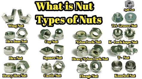 What Is Nut Types Of Nut And Their Applications नट क्या है नट के