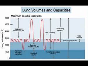 Lung Volumes And Capacities Explained Under 5 Minutes Volume And
