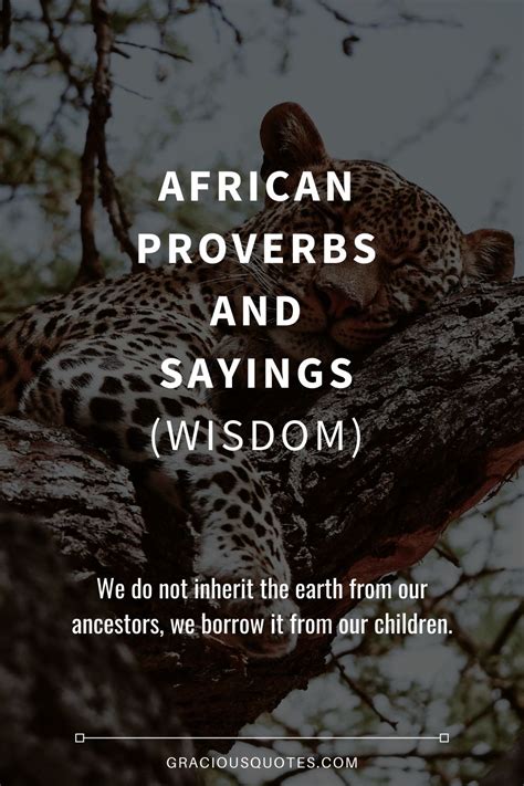 African Proverbs And Sayings Wisdom Gracious Quotes In 2021