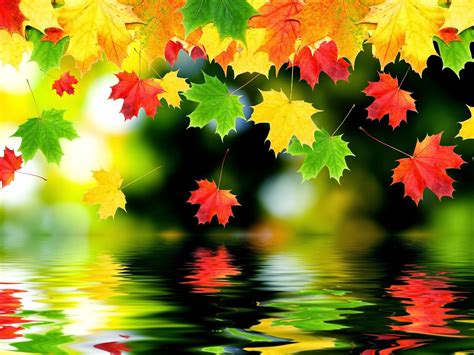 Beautiful Fall Desktop Wallpaper Download The Beautiful