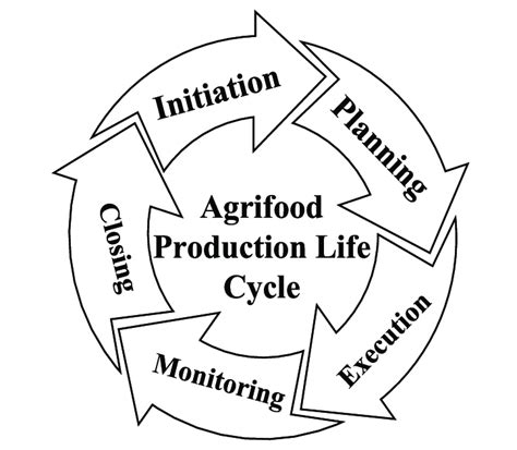 Phases In Agri Food Production Life Cycle Download Scientific Diagram