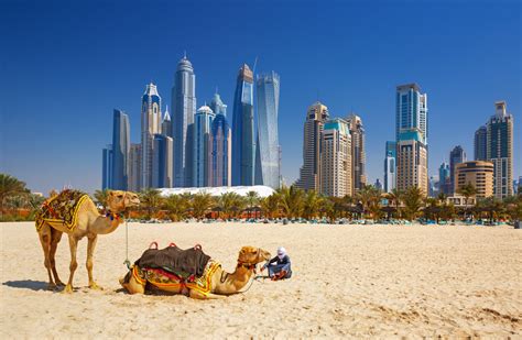 Travel advice for dubai residents find out the process for returning to dubai, whether you're already overseas or you plan to fly from dubai and return. Dubai announces record tourism arrivals in 2019 - News ...