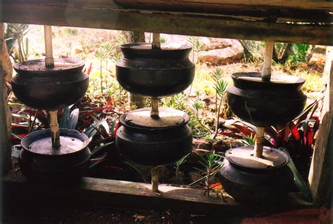 Maybe you would like to learn more about one of these? The original black cooking pots from Jimmy's Black Pot ...