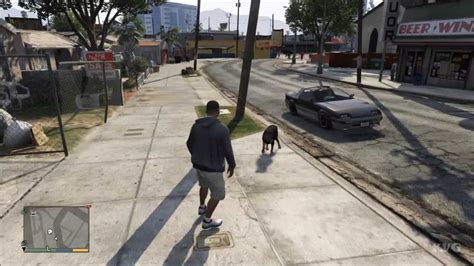 Grand Theft Auto 5 Chop Getting Ball Gameplay Hd Youtube