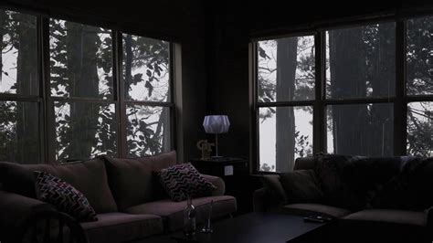 Calming Rain In Cozy Living Room Ambience Raining In The Forest