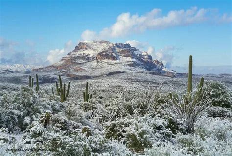 Snowy Sonoran Desert Sonoran Desert Natural Landmarks Saguaro