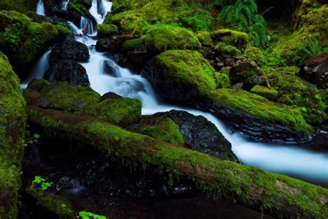 Stones Moss Waterfall River Columbia Oregon United