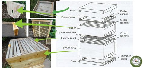 Furthermore, how much honey does a top bar hive produce? Modern bee farming(how the cab hive works) | KAAA