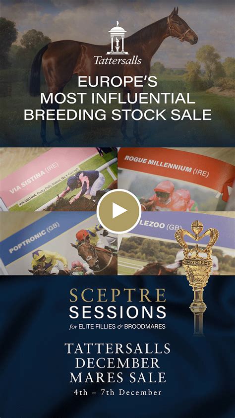 Video Europes Most Influential Breeding Stock Sale