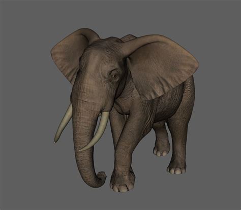 D Printable Model Obj Elephant Cgtrader