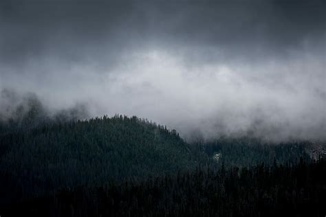 Hd Wallpaper Mountain Under Fog Forest Trees Under Dark Sky Cloud