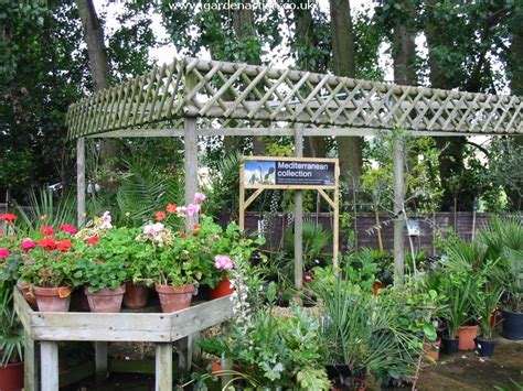 Will garden centres stay open during england's third lockdown? Wyevale Keynsham Garden Centre in Bristol