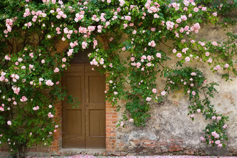 Enviable Entryways 20 Fancy Homes That Are Covered In Flowers