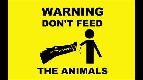 Don´t Feed The Animal Youtube