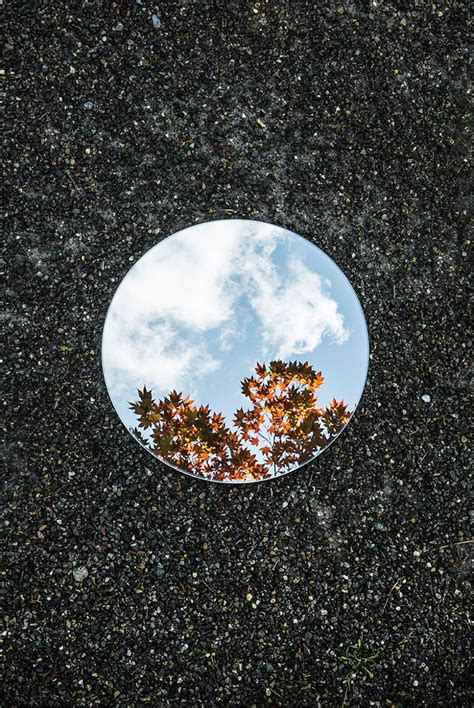 Therefore, it involves looking back after the event has occurred. Nature Reflections In Mirror - XciteFun.net