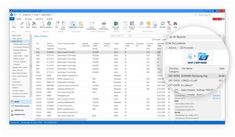 The Microsoft Dynamics Navision Interface Easy Software