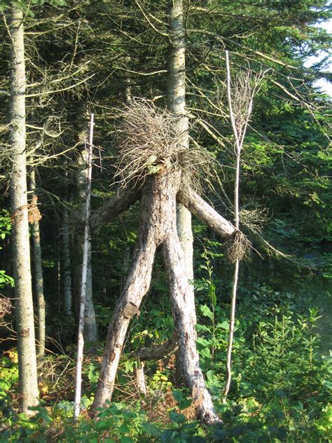 You can get a cat tree that looks like a tree. one of the tree people | Part of a public art installation ...