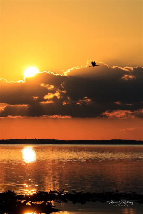 2021 12 11 Sunset On Lake Apopka Flickr