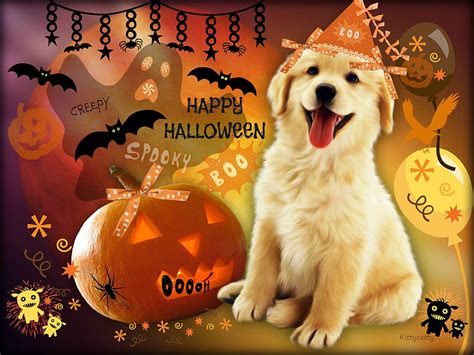 Cute Halloween Puppy ☻☻☻ Halloween Party Lantern Bats Jacko