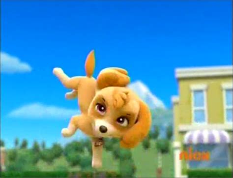 Paw Patrol Images Skye The Cockapoo Wallpaper And Background Photos