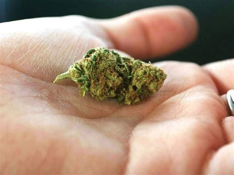 Incautadas 2 000 Dosis De Marihuana A Cuatro Miembros De Una Familia En