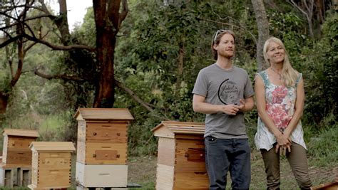 Beginner Beekeeping introduction - YouTube