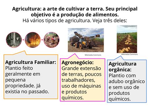 Plano De Aula Ano Desafios Para A Agricultura Do Brasil No