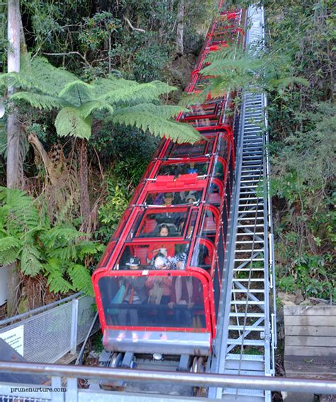 Katoomba scenic skyway travels across the gorge above the katoom. Day 5 : The Three Sisters and Scenic World, Katoomba ...