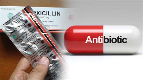 Bahaya Jangan Minum Obat Amoxicillin Bersama Antibiotik Tanpa Resep