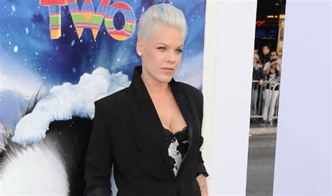 Pink Poses Nude For Animal Rights Campaign Entertainment