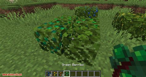 You may unsubscribe at any time. More Berries Mod 1.16.5/1.15.2 (More Berrie-Foods ...