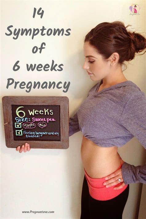 6 Weeks Pregnant Artofit