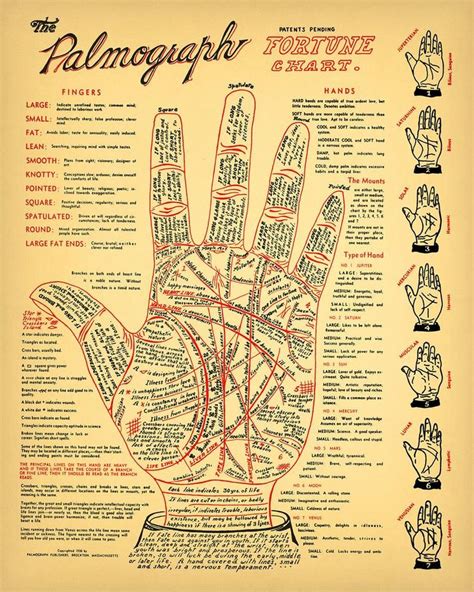 Vintage Palmistry Chart • 5 Sizes • Fortune Telling Cheiromancy Occult
